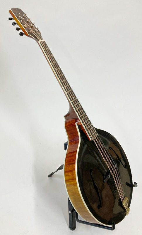 A-style octave mandolin.