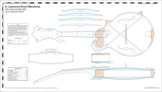 Mandolin Family – Guild of American Luthiers