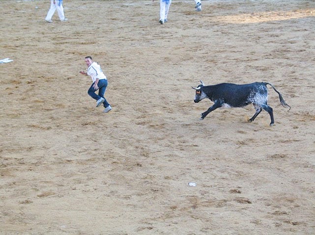 Bullfight (image 2 of 2)