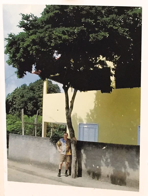 A pernambuco tree on a street in Brazil.