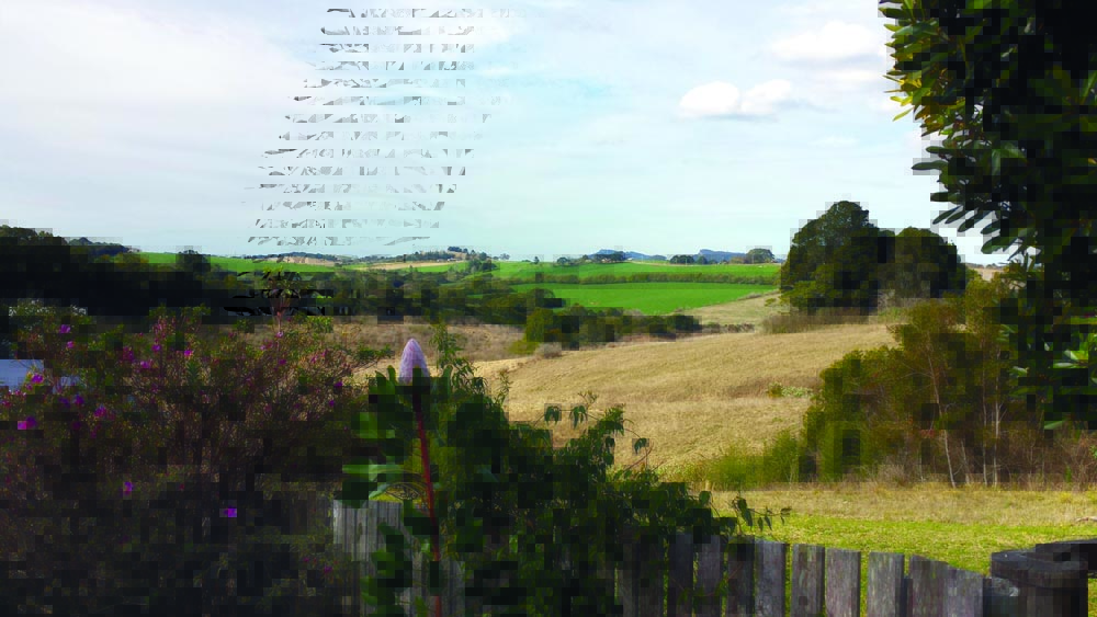The beautiful countryside around Comboyne, New South Wales, Australia