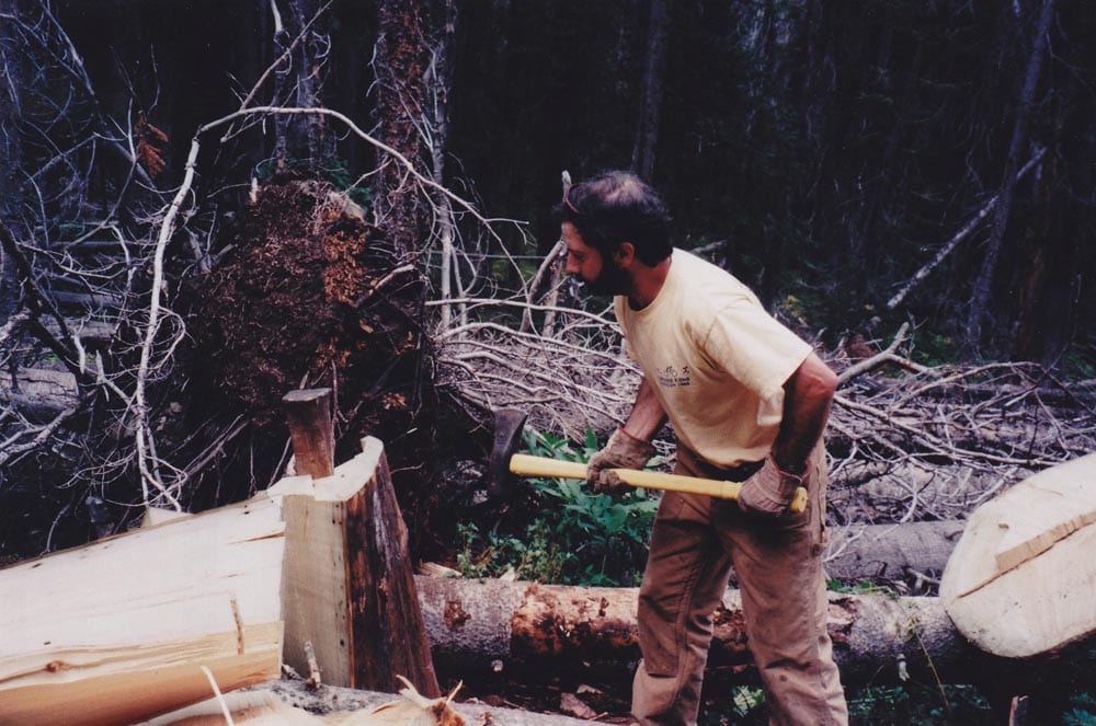 Harvesting Engelmann spruce, 1996.