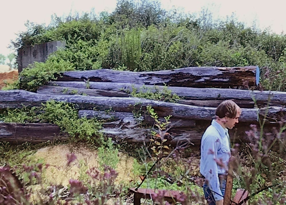 Bob Ruck and R.E. Brune went down to Carlton McLendon’s place in the 1970s to get some rosewood from his log pile (Image 2 of 3).